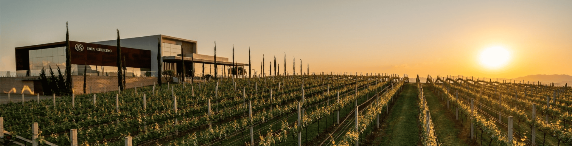 Circuito Raizes do Sul